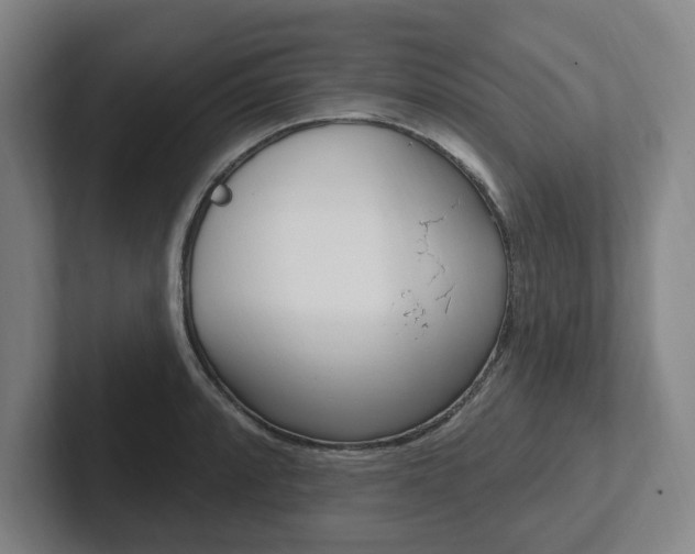 X0000102811088200808180948