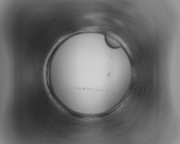 X0000102811091200808180948