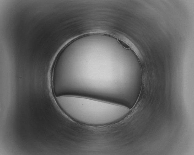 X0000102811092200808180948