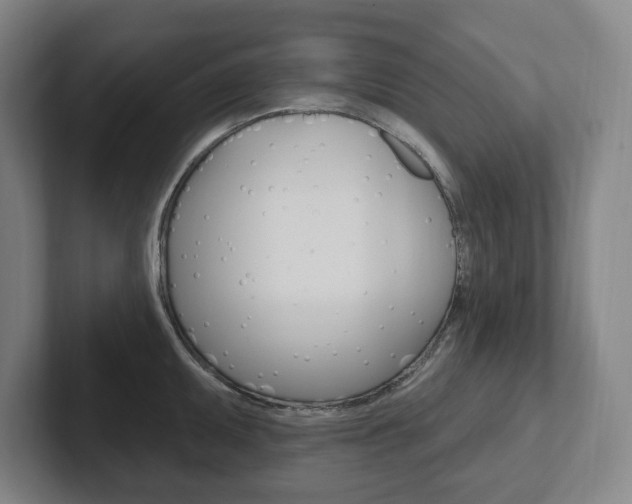 X0000102811095200808180948