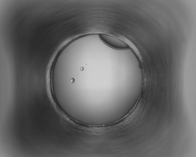 X0000102811096200808180948