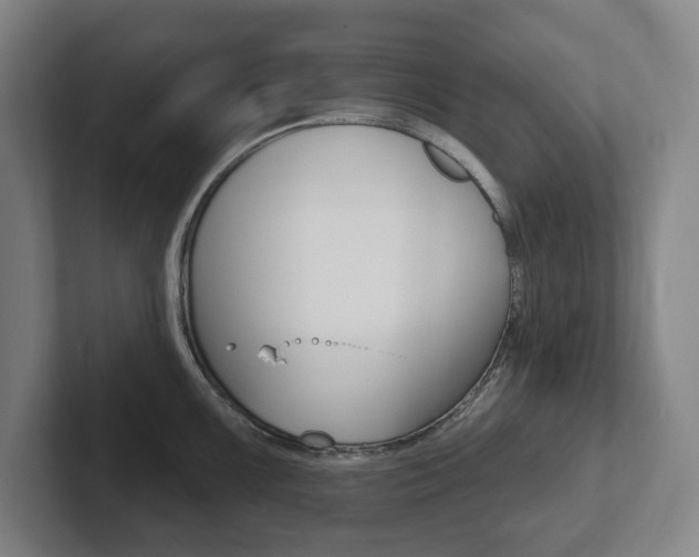 X0000102811099200808180948