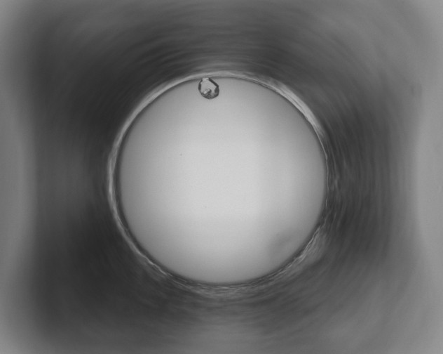 X0000102811101200808180948