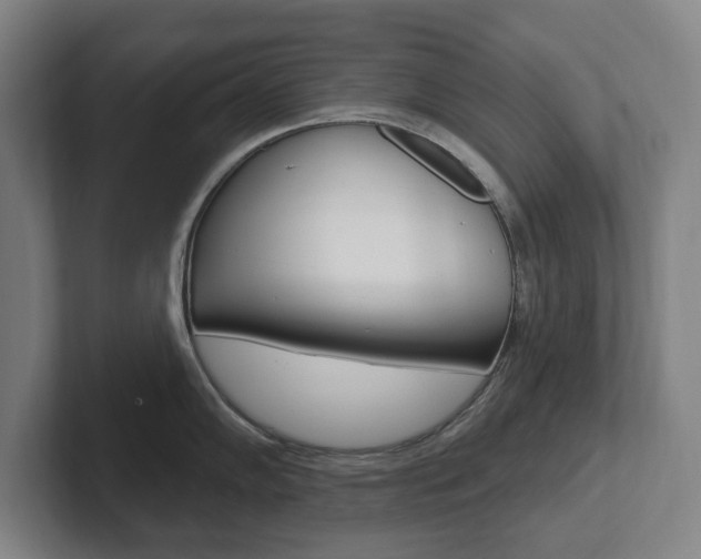 X0000102811102200808180948