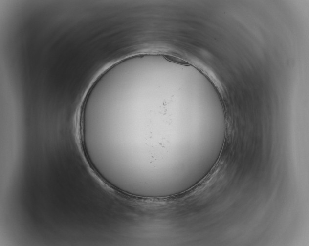X0000102811103200808180948