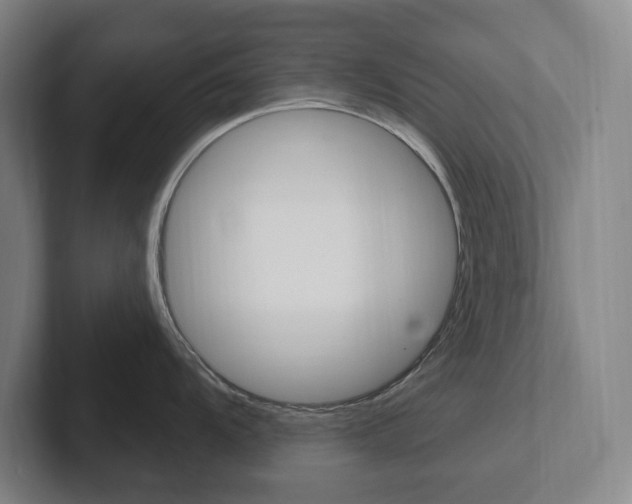 X0000102811104200808180948