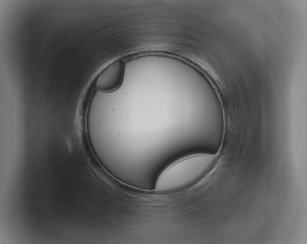 X0000102811119200808180947