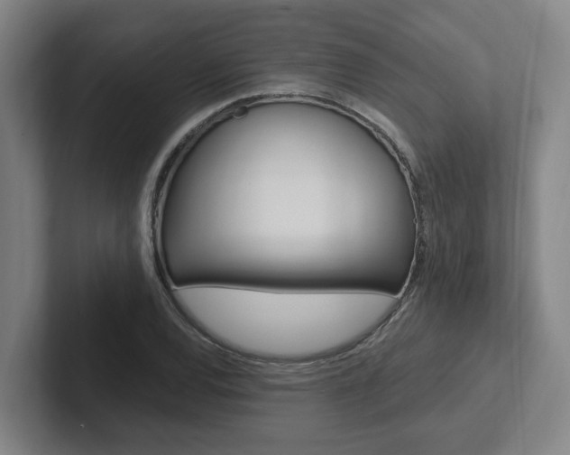 X0000102811120200808180947
