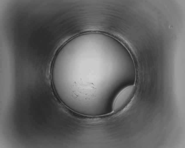 X0000102811129200808180947