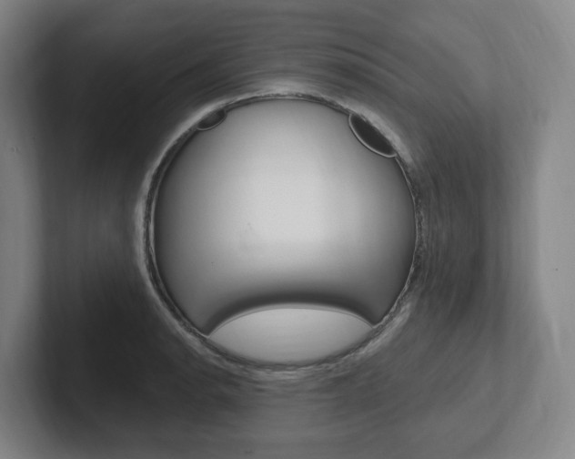 X0000102811134200808180947