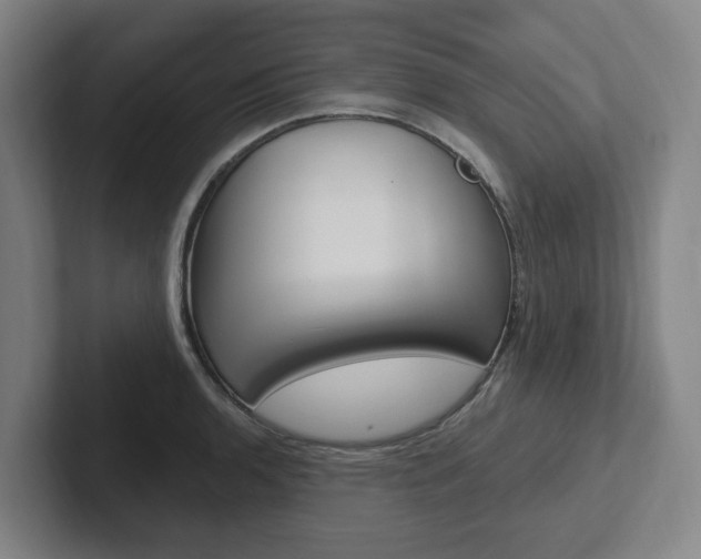 X0000102811136200808180947
