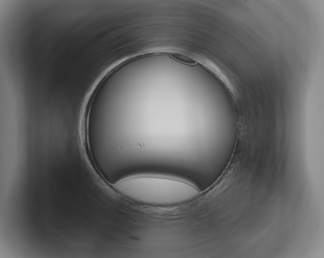 X0000102811140200808180947