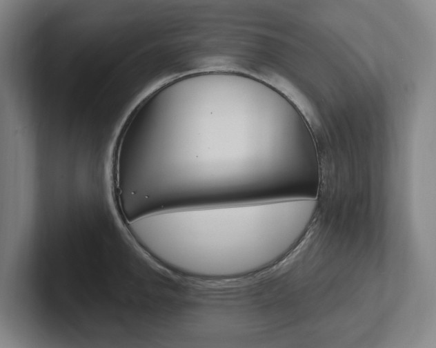 X0000102811142200808180948