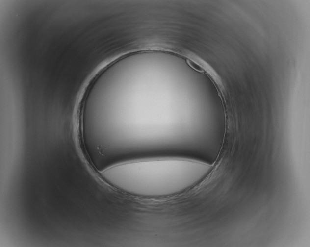 X0000102811144200808180948