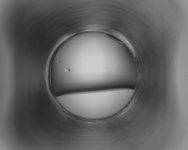 X0000102811146200808180948