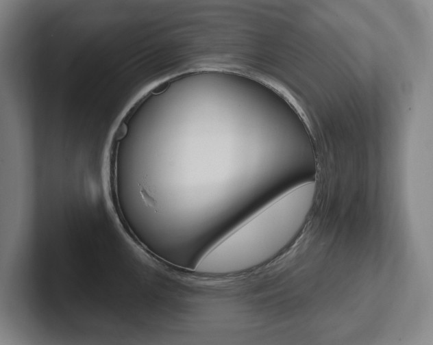 X0000102811147200808180948