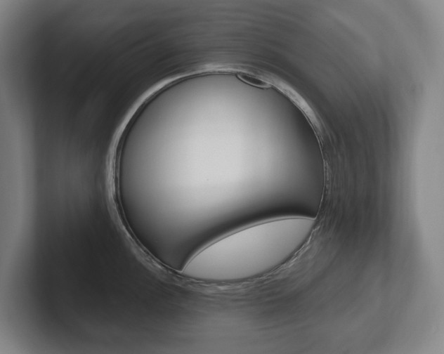 X0000102811148200808180948