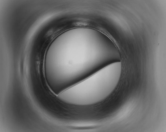 X0000102811151200808180948
