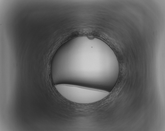 X0000102811153200808180947