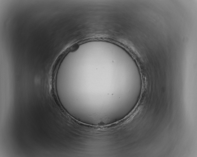X0000102811165200808180947