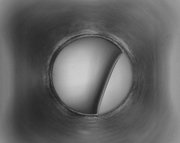 X0000102811168200808180947
