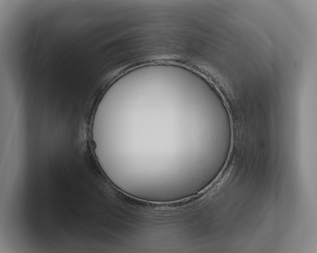 X0000102811169200808180947
