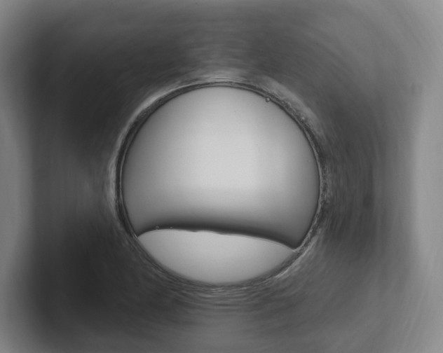 X0000102811174200808180947