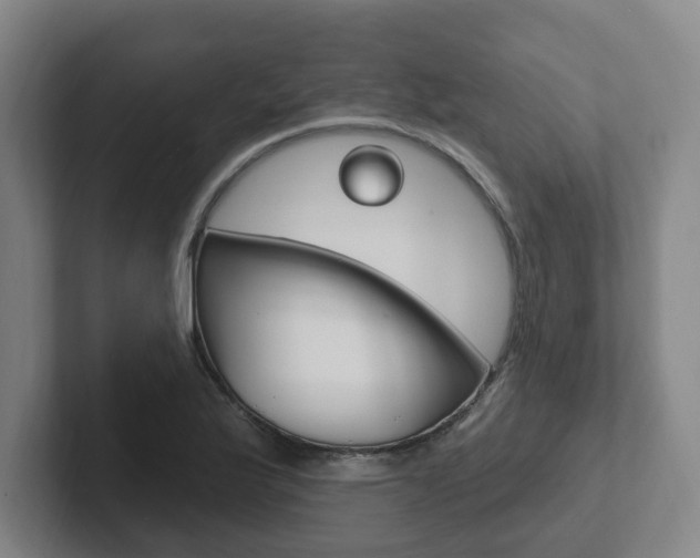 X0000102811175200808180947