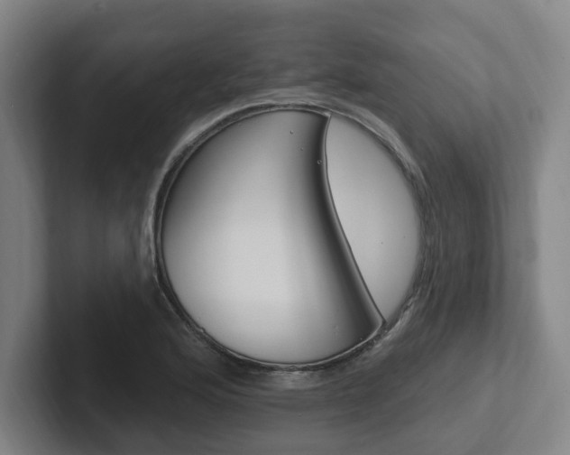 X0000102811176200808180947