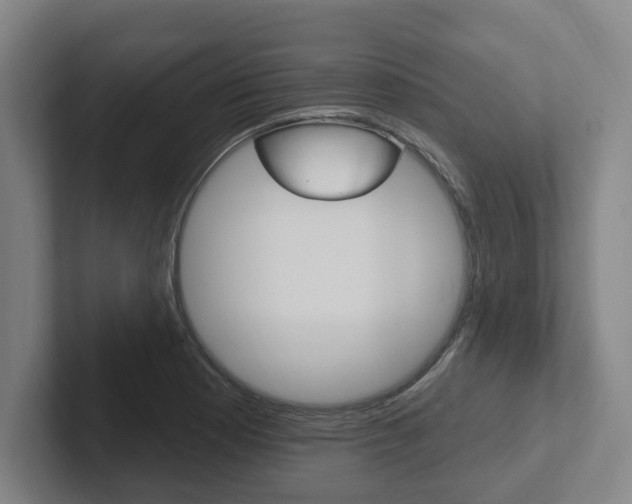 X0000102811177200808180947