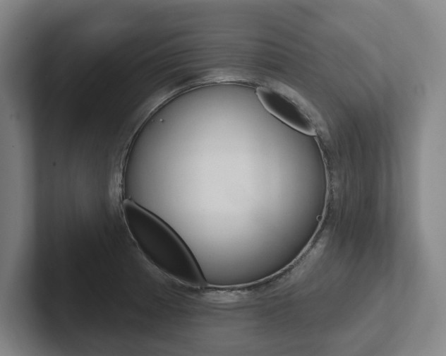 X0000102811185200808180947