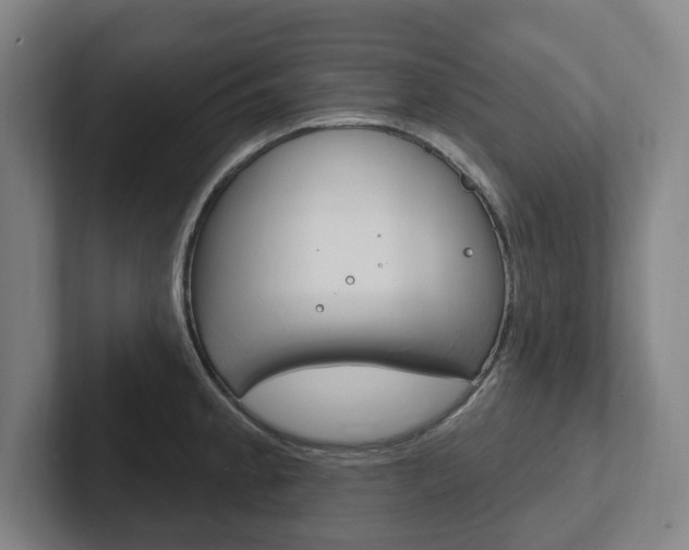 X0000102811189200808180947
