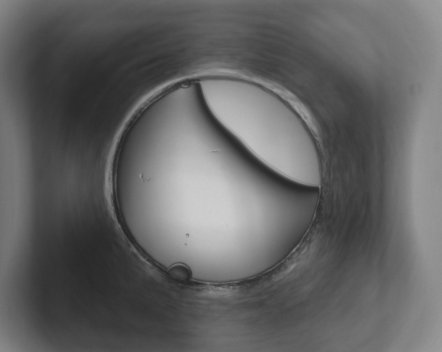X0000102811191200808180947