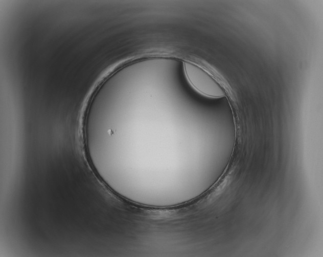 X0000102811192200808180947