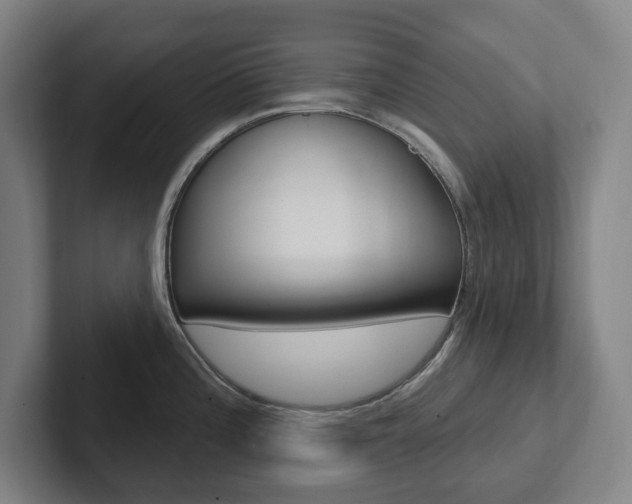 X0000102811196200808180946