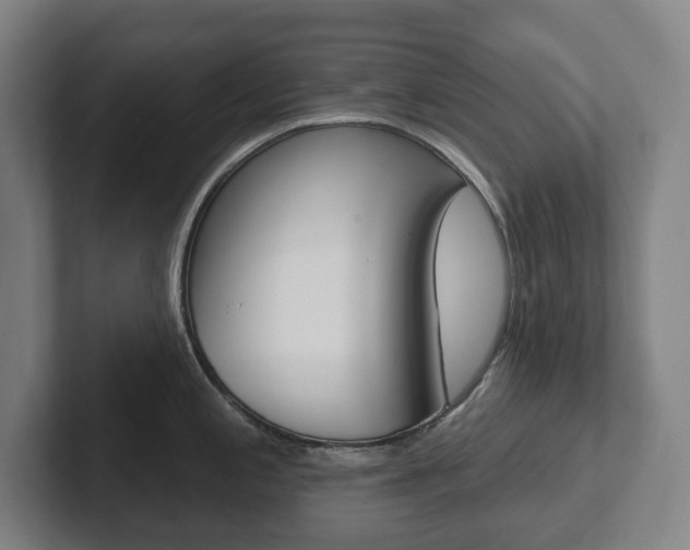 X0000102811197200808180946