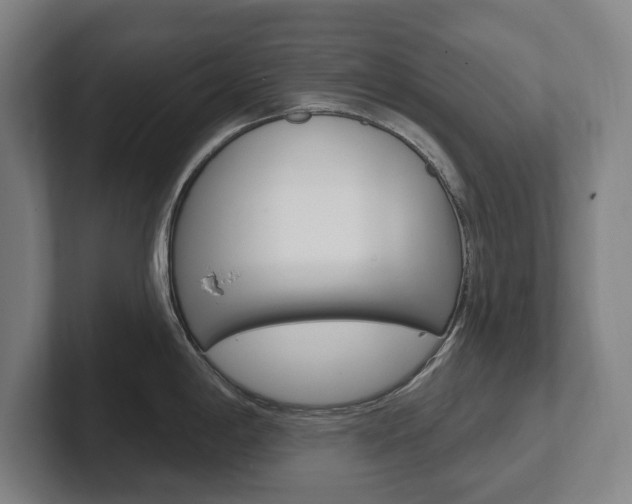 X0000102811198200808180946