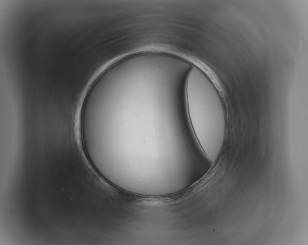 X0000102811199200808180946