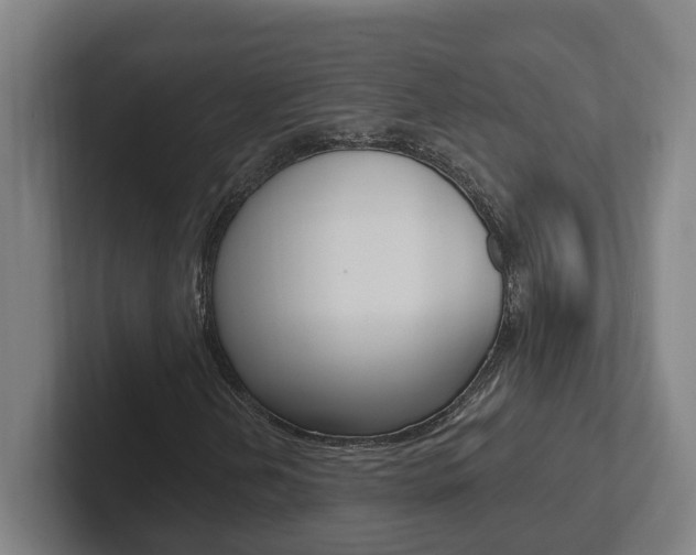 X0000102811202200808180946