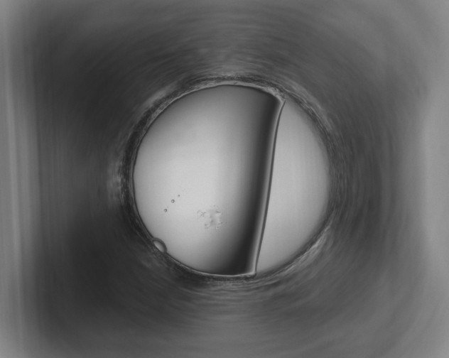 X0000102811210200808180946