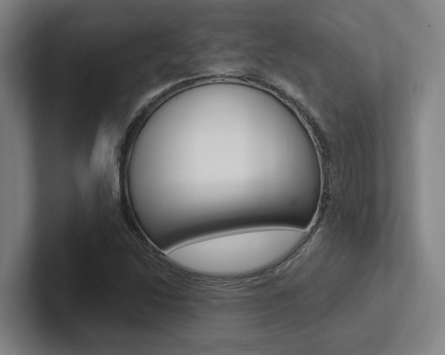 X0000102811214200808180946