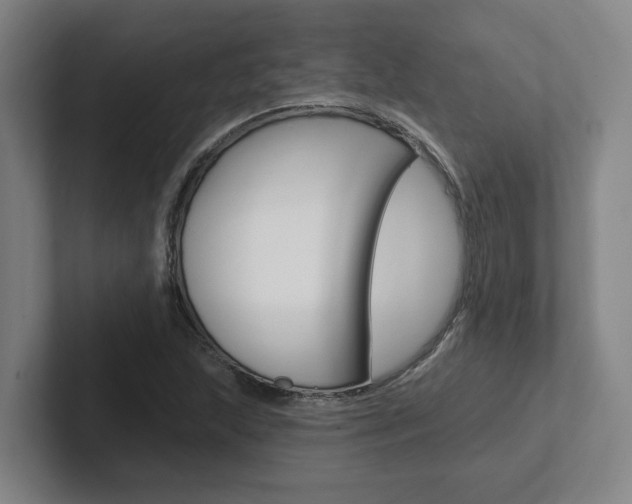 X0000102811215200808180946