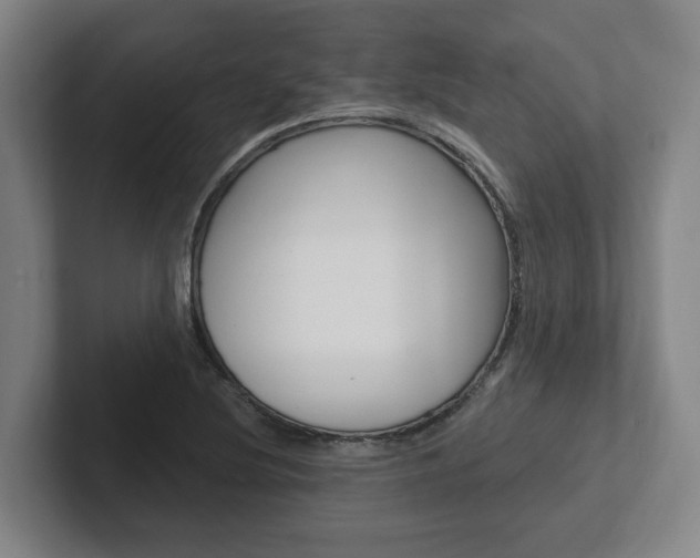 X0000102811220200808180946