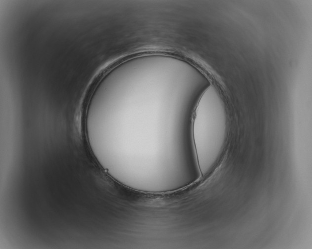 X0000102811222200808180946