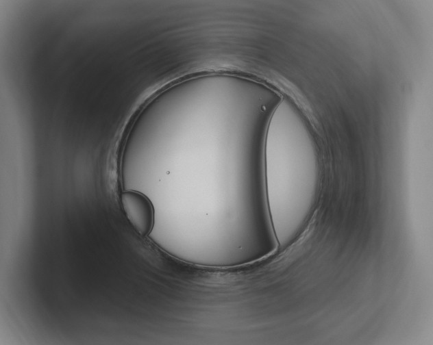 X0000102811226200808180946