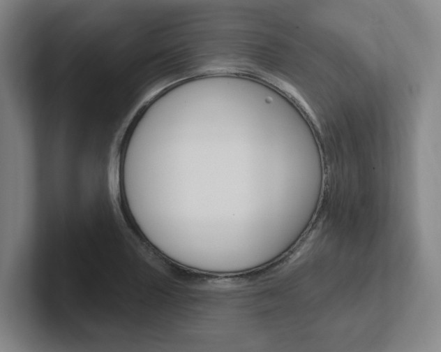X0000102811227200808180946