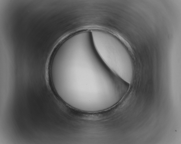 X0000102811229200808180946