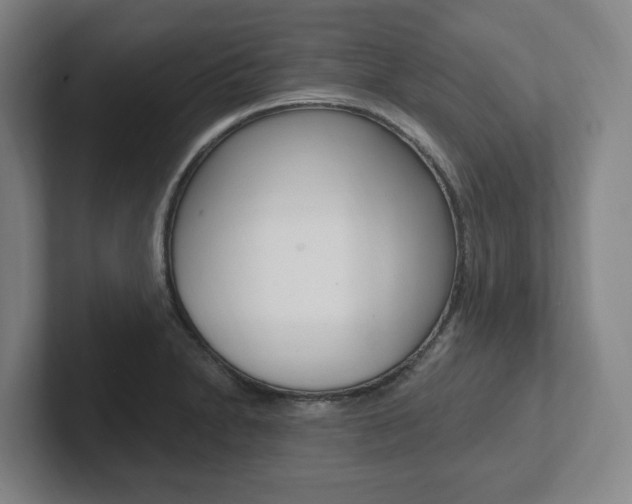 X0000102811230200808180946