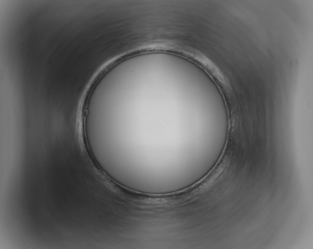 X0000102811232200808180946
