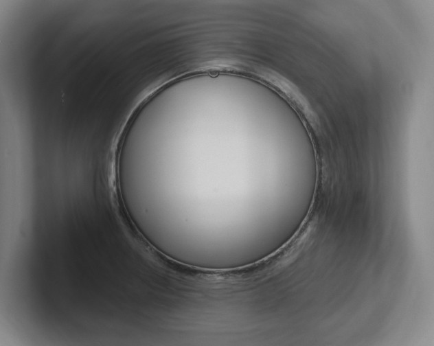 X0000102811234200808180946